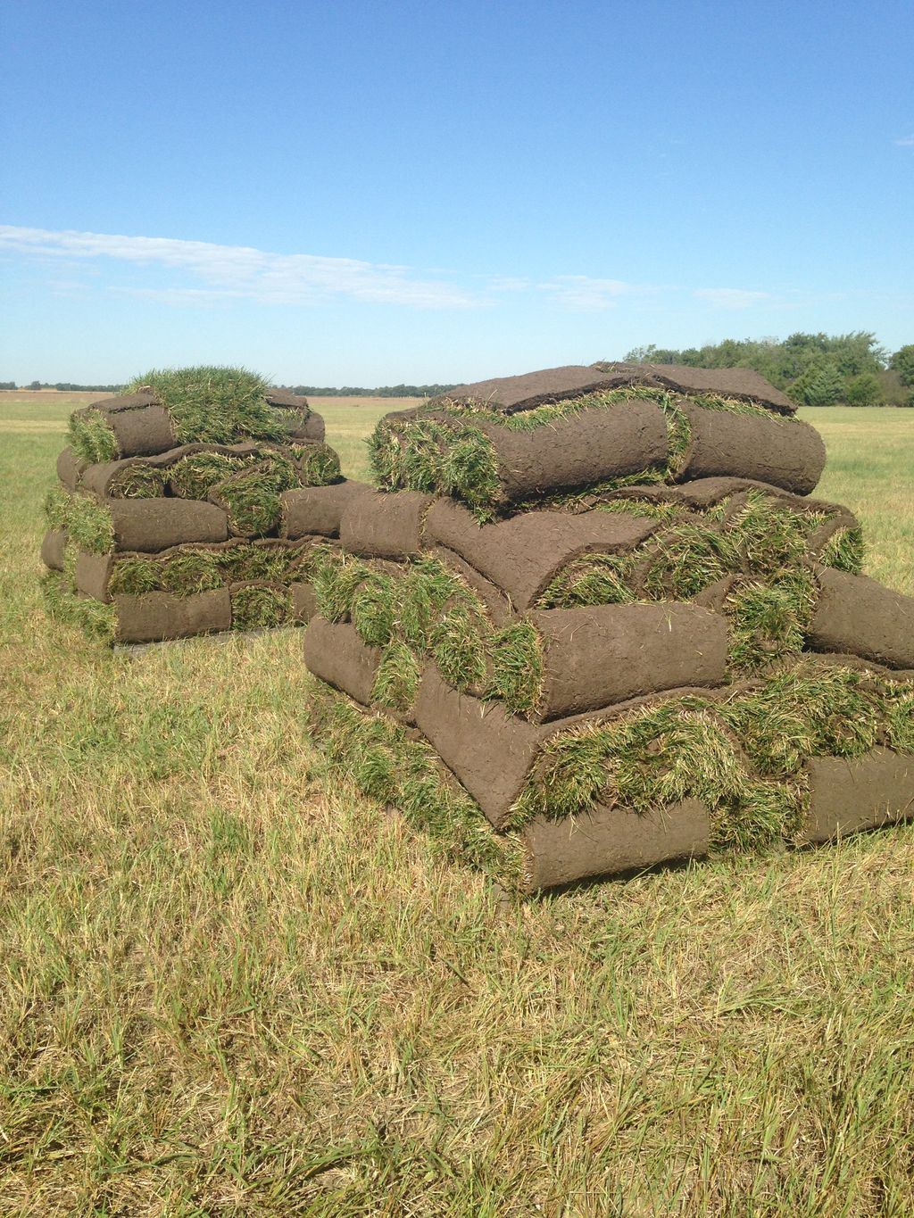 Freshly cut and ready to be installed!