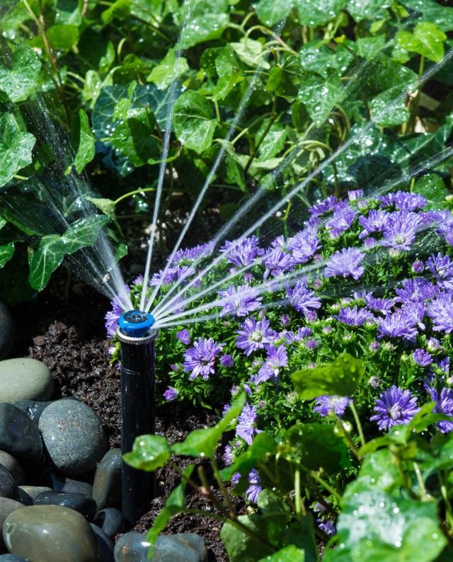 MP Rotator Nozzles best for coverage issues and co