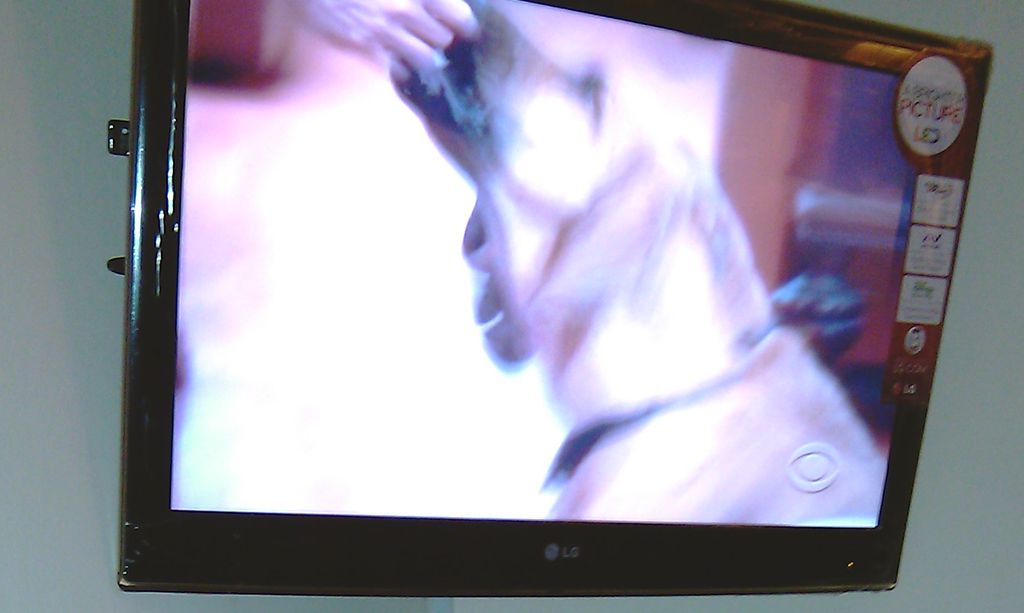 Corner Mount with a shelf and wire molding