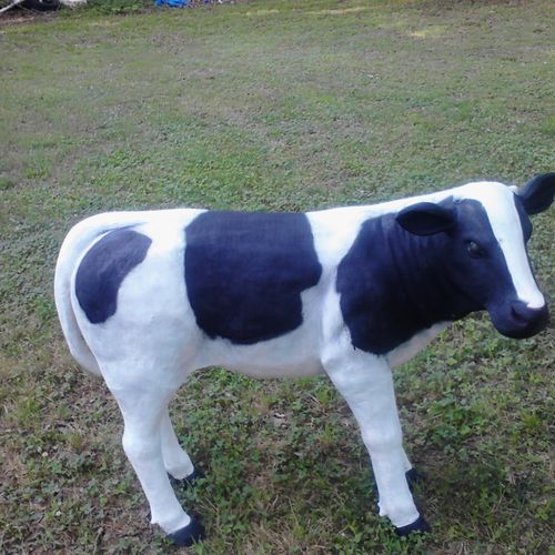 cow i re painted