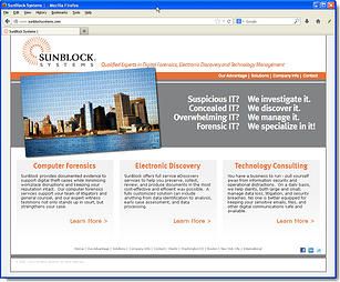 Dynamic Website Content.
Writing the content that 