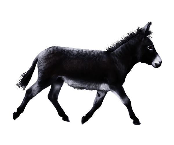 A web graphic for an online game