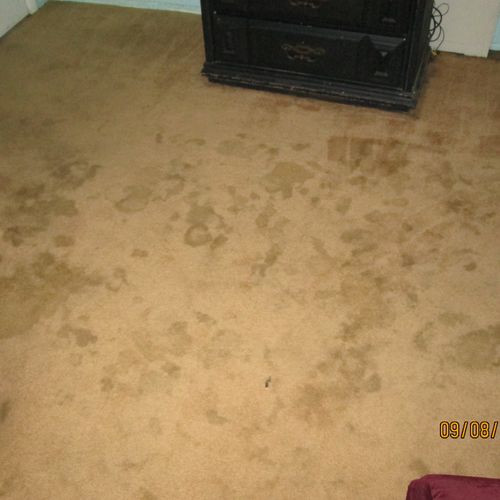 before Advanced Carpet Cleaning