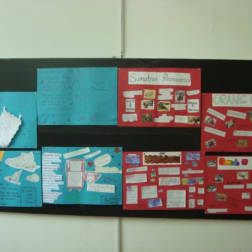 Bulletin board of 3rd and 6th grade projects for E