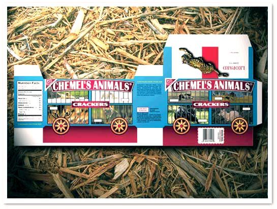Packaging design