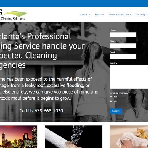 AMS Cleaning Solutions is a custom WordPress site 