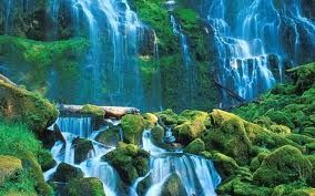 Waterfall Serene