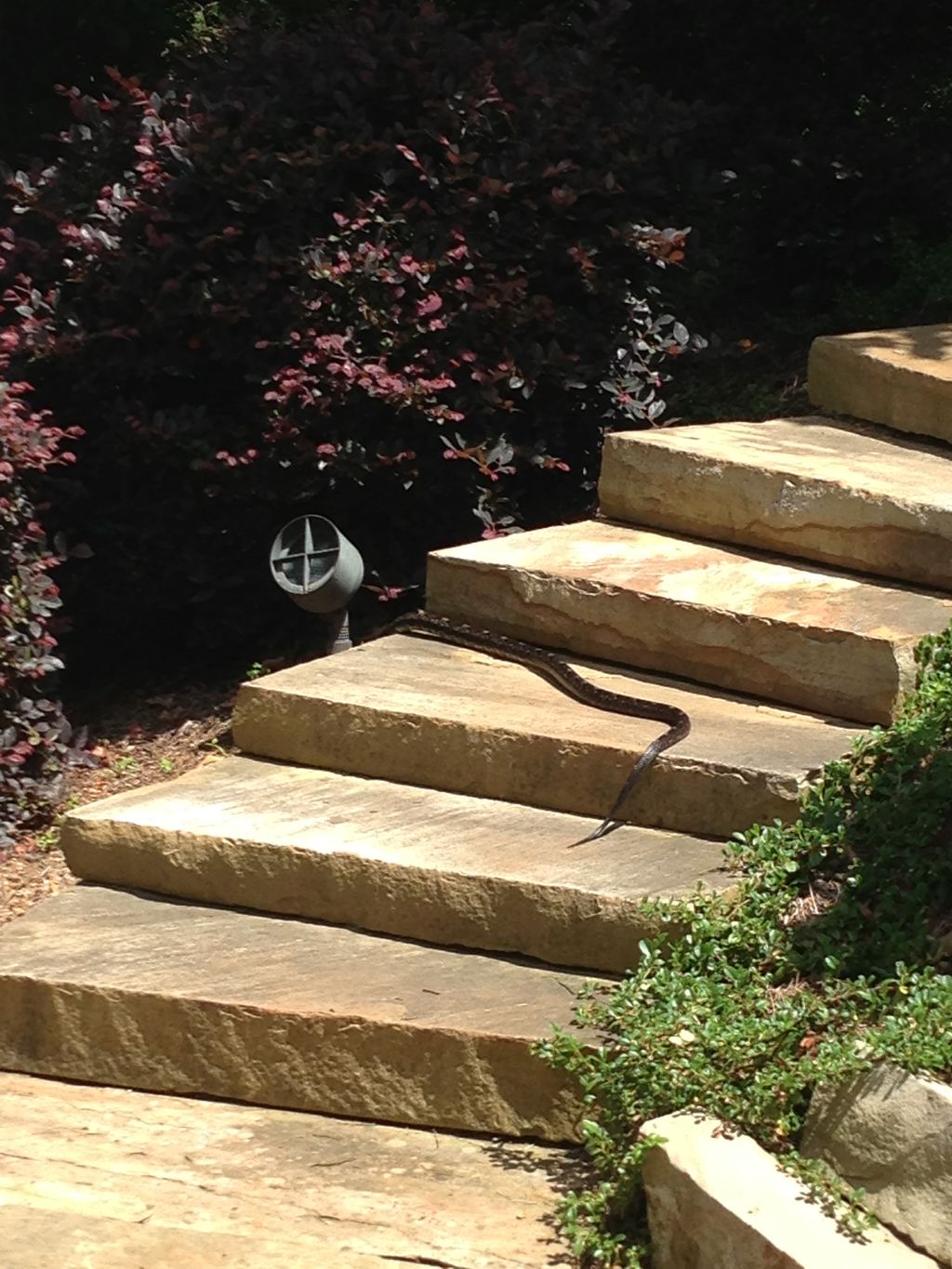 Stone steps, 2013
