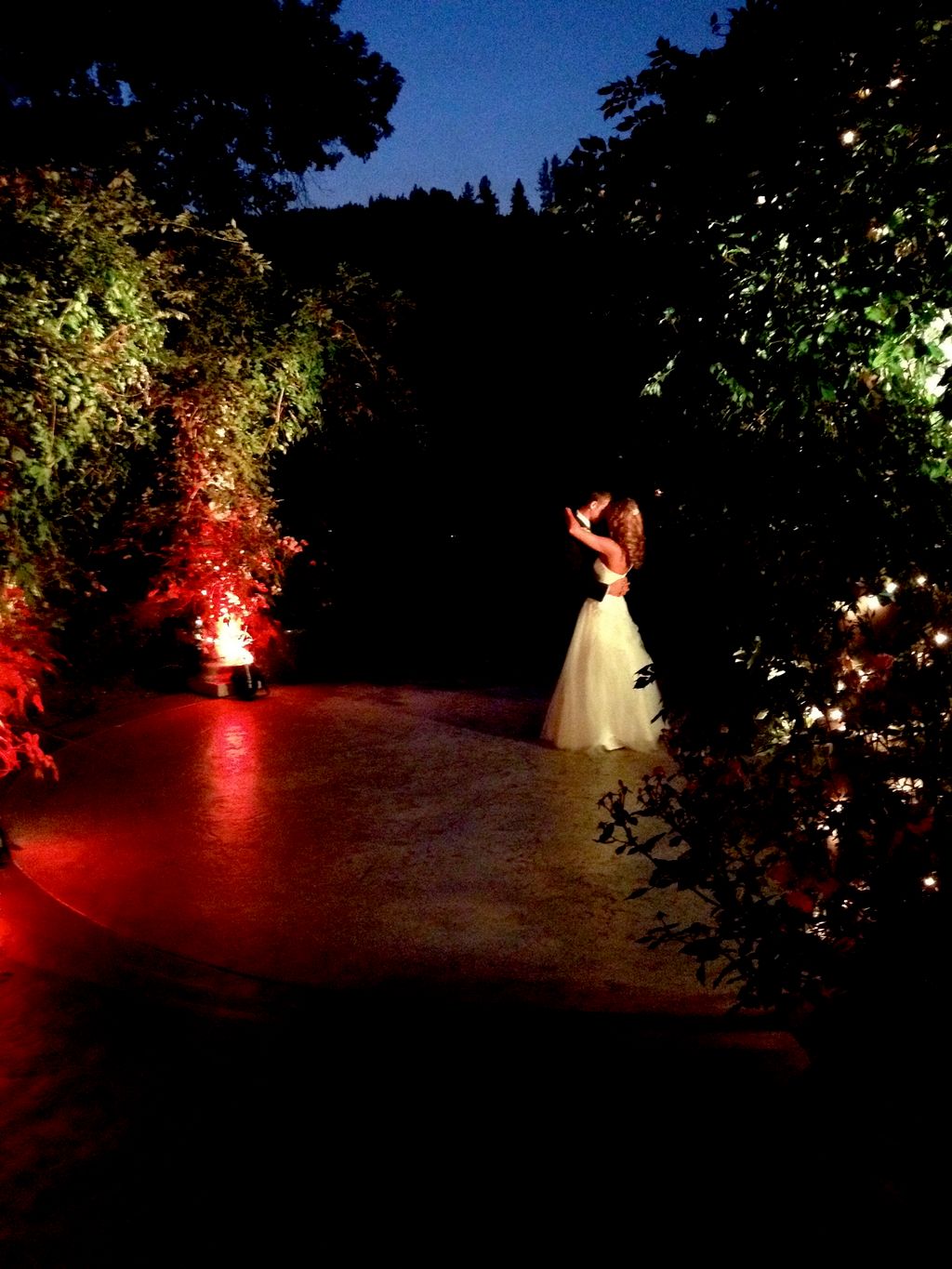 Wedding lighting, sound