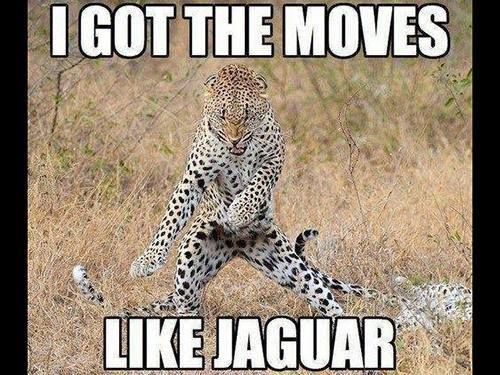 For the love of puns!
