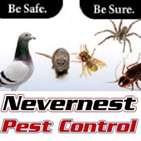 Nevernest Pest Control