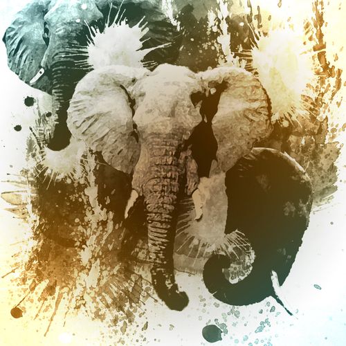 Watercolor effect elephants.

Made in Adobe Photos