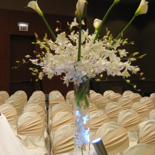 Dendrobium orchids and Calla lillies. Use your cen