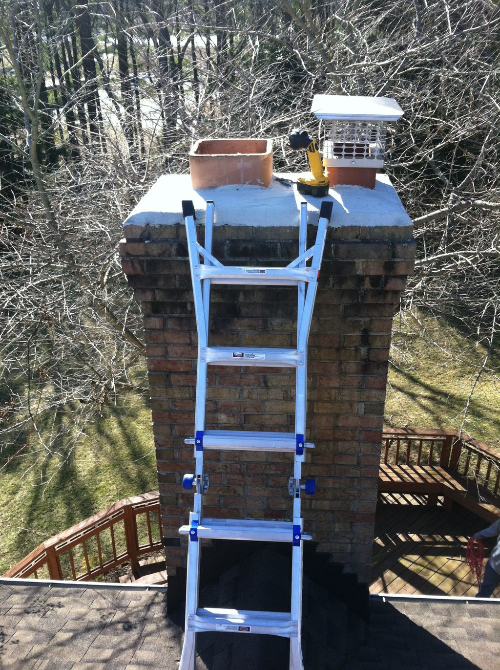A raccoon was caught living in the chimney. A chim