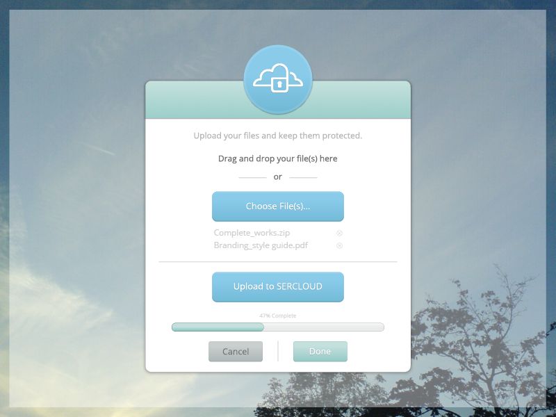 User Interface Widget and Icon Design