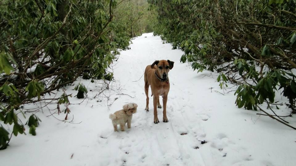 best buddies Yaharri  and Zoe