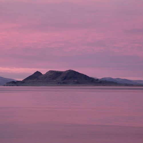 Anaho in the Pink - Pyramid Lake Project