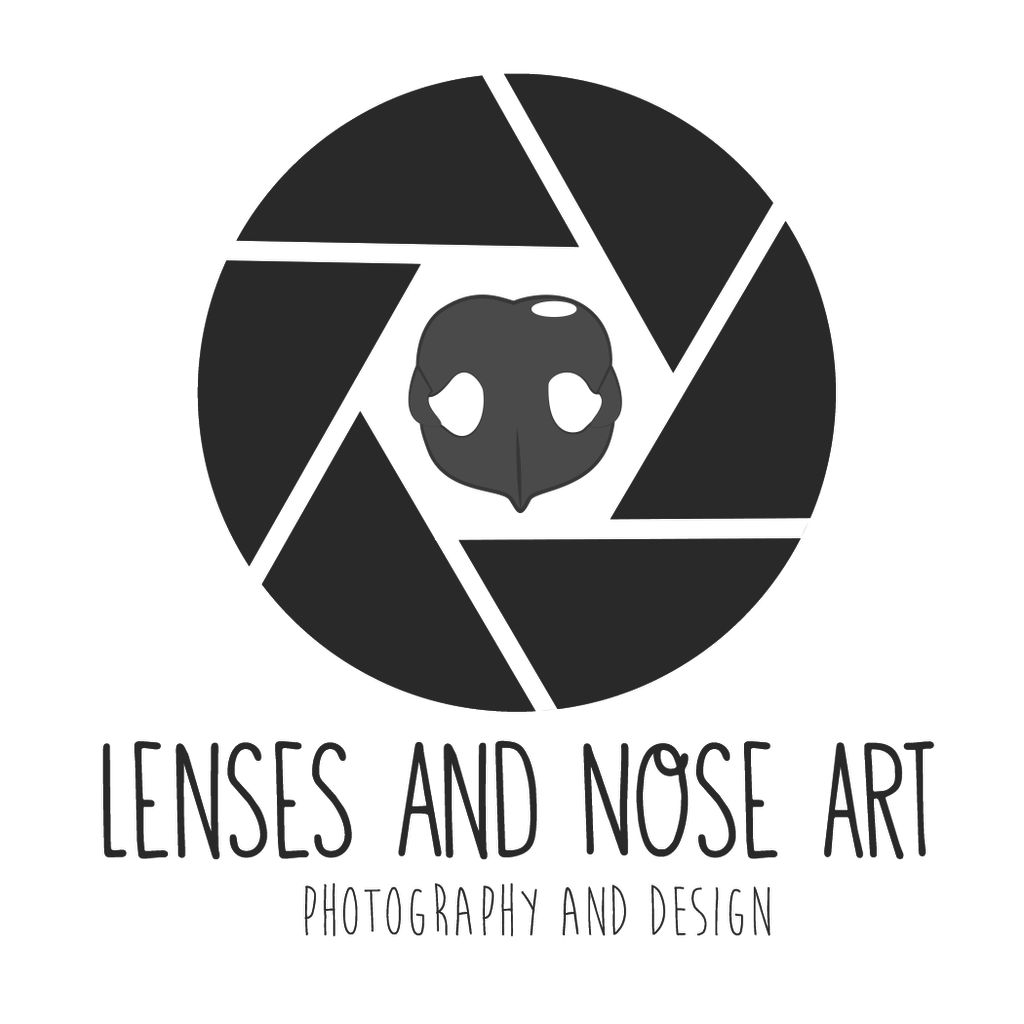 Lenses and Nose Art