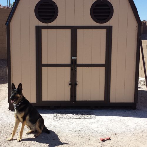 Erected this storage shed for a customer as a dog 