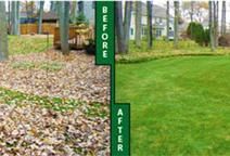 we offer leaf removals and spring and general clea