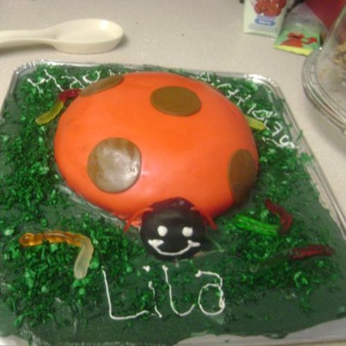Ladybug cake I did for my daughters 2nd birthday