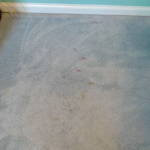 Carpet cleaning before.