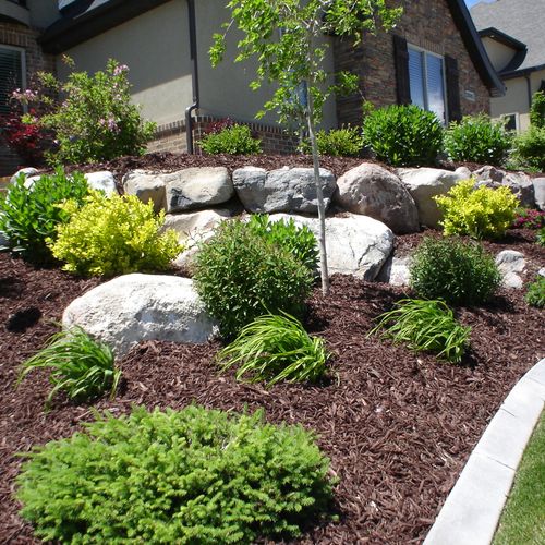 Colors and elevation landscaping