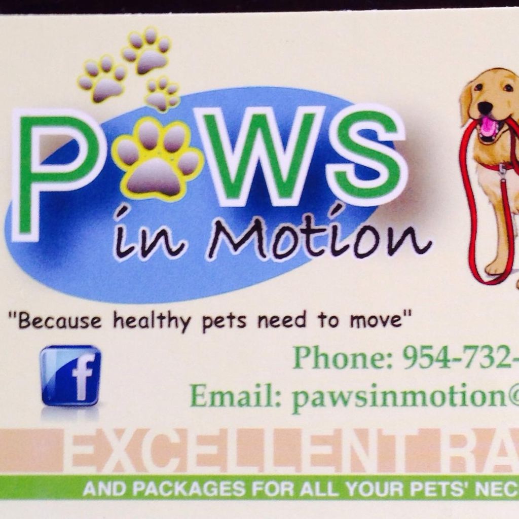 Paws in Motion
