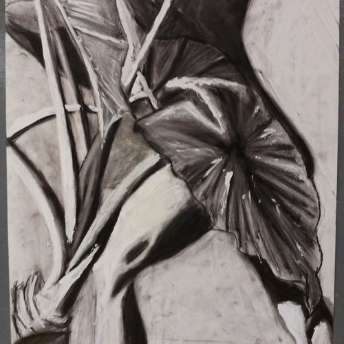 Poses and Plants- charcoal on paper