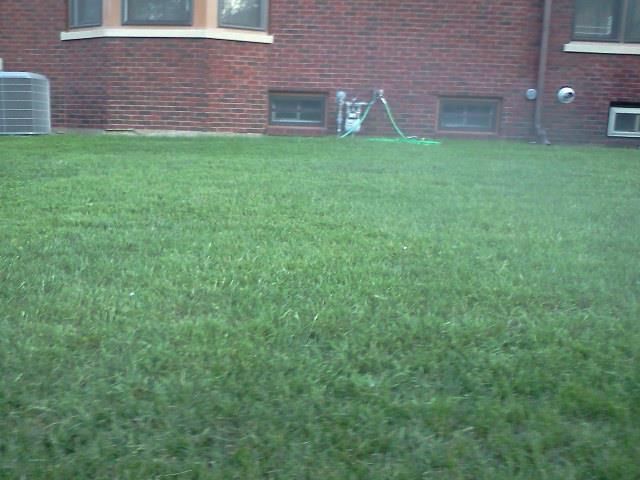 W.St Paul. Lawn care bi-weekly