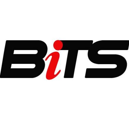 Business I.T. Services, Inc.