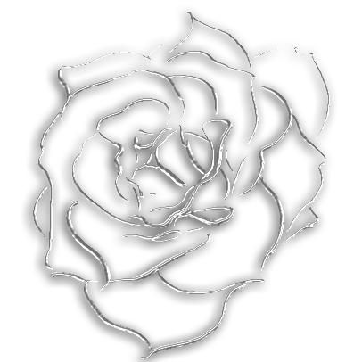 Snow Rose Designs