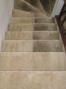 A cleaning picture of a very dirty set of steps!!