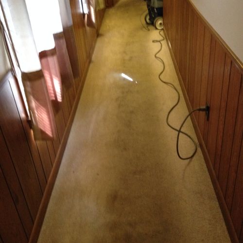 This carpet was clean today by Master Floor cleani