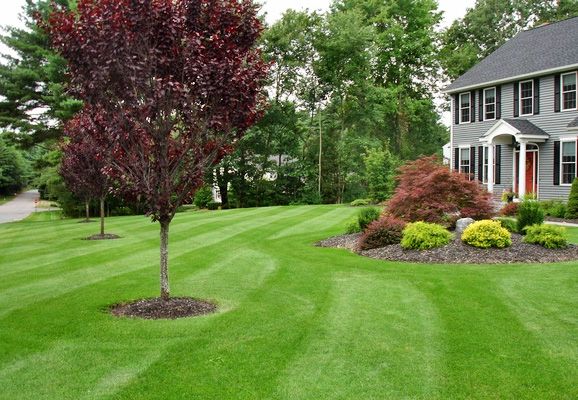 Heroes Lawn Care, mulching and trimming