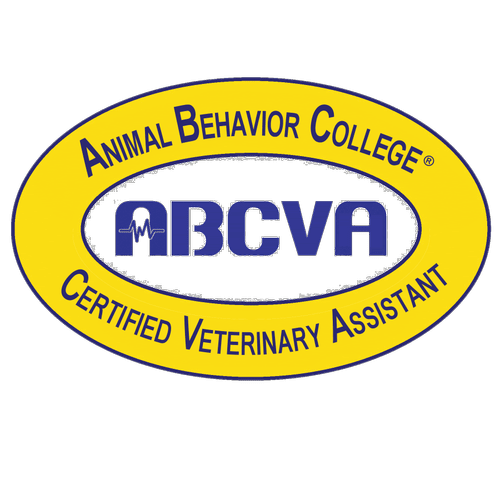 Certified Veterinary Assistant