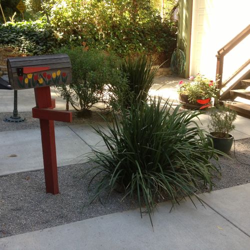Plant install Guerneville