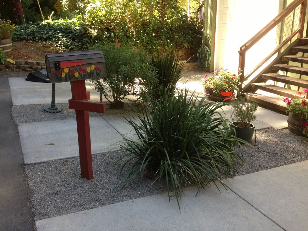 Plant install Guerneville