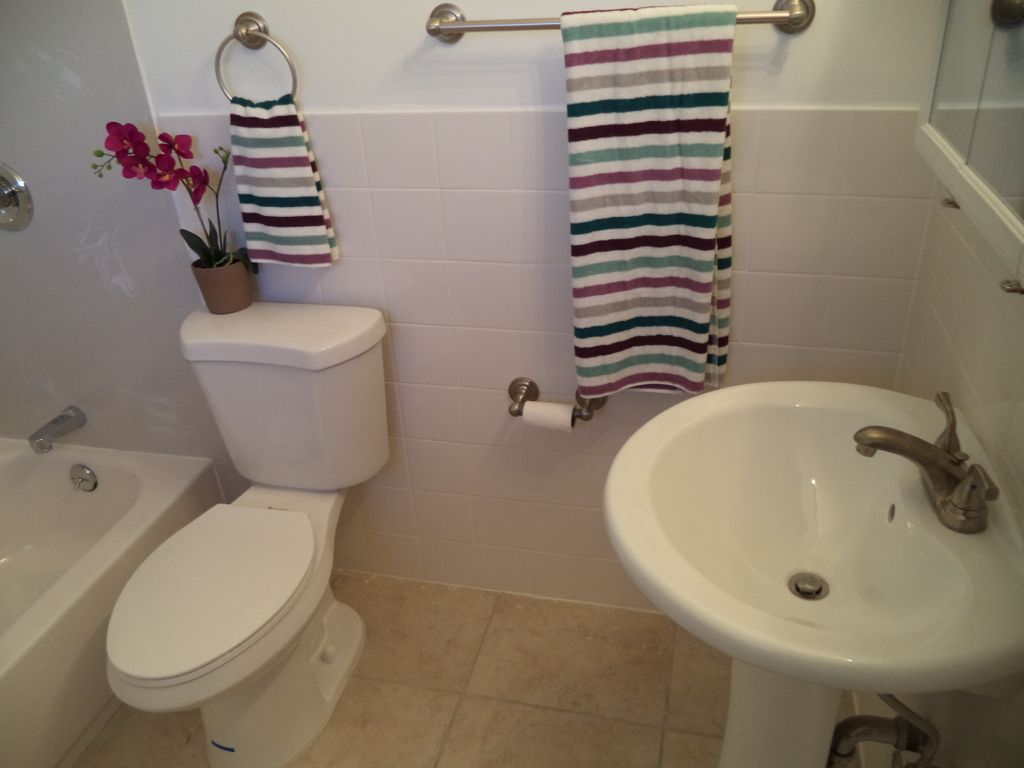 Completed bathroom shot with wanes coating on wall