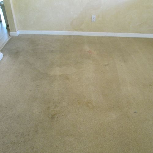 Before our carpet cleaning.