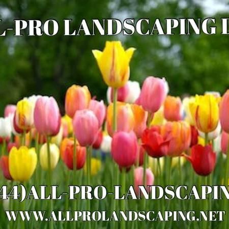All-Pro Landscaping, LLC