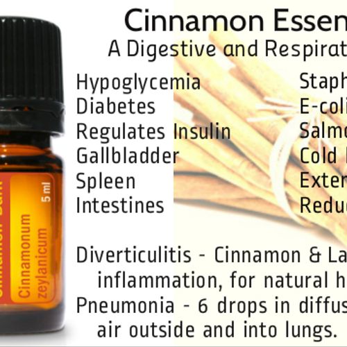 Did you know most cinnamon found in grocery stores