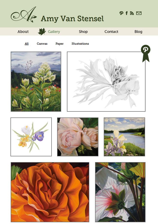 Custom website for Amy Van Stensel fine art