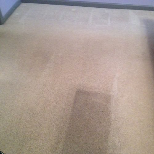 Carpet Cleaning during process.  One area left to 