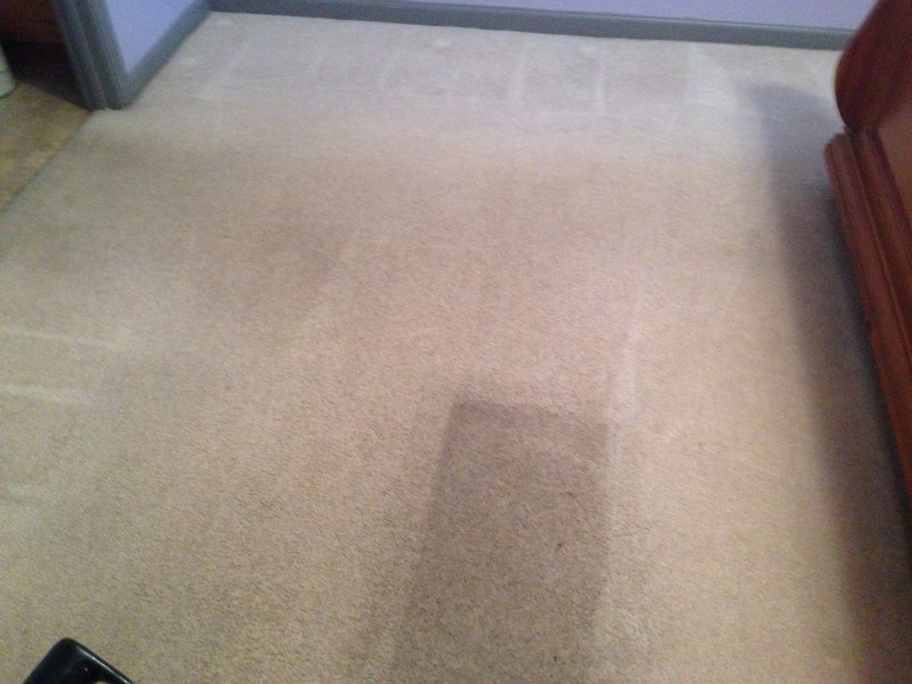 Carpet Cleaning during process.  One area left to 