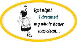 Don't dream about it! Call Nita Maid!!!