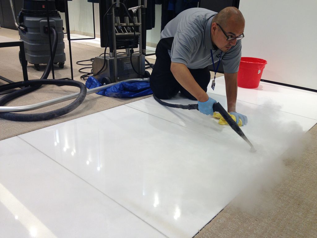Chemical Free Vapor Steam Cleaning a 360 degrees o