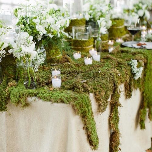 One with Nature; Moss Decor Show Table