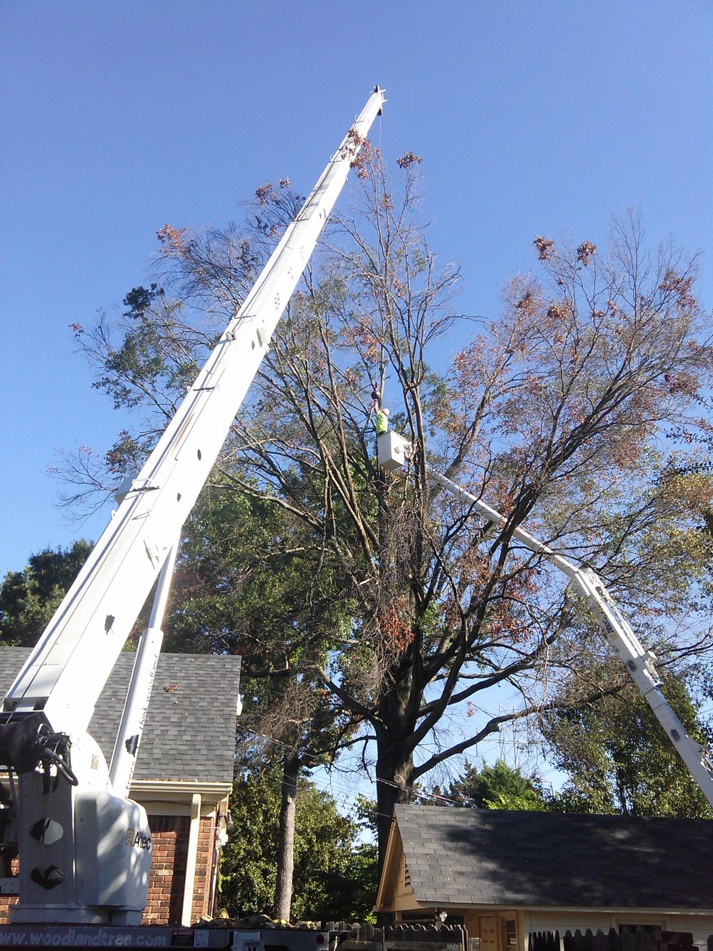 Walton's Tree & Crane Service