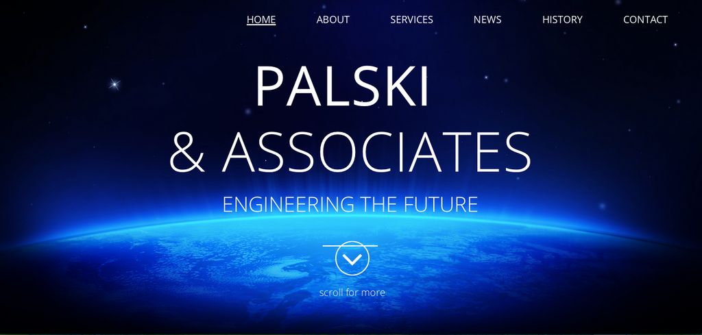 This is a responsive website I created for Palski 